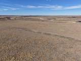  Dodd Grass 480Ac County Line Road - Photo 24