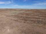  Dodd Grass 480Ac County Line Road - Photo 25