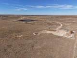  Dodd Grass 480Ac County Line Road - Photo 26