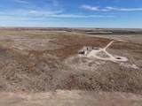  Dodd Grass 480Ac County Line Road - Photo 29