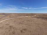  Dodd Grass 480Ac County Line Road - Photo 3