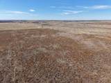  Dodd Grass 480Ac County Line Road - Photo 32