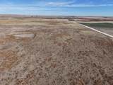  Dodd Grass 480Ac County Line Road - Photo 34