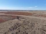  Dodd Grass 480Ac County Line Road - Photo 43