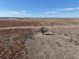  Dodd Grass 480Ac County Line Road - Photo 44