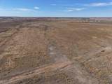  Dodd Grass 480Ac County Line Road - Photo 57