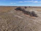  Dodd Grass 480Ac County Line Road - Photo 59