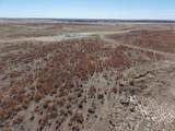  Dodd Grass 480Ac County Line Road - Photo 77