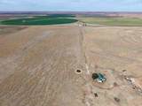  Big Sky Ranch Fm 48 - Photo 10