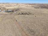  Big Sky Ranch Fm 48 - Photo 18