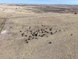  Big Sky Ranch Fm 48 - Photo 19
