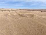  Big Sky Ranch Fm 48 - Photo 3