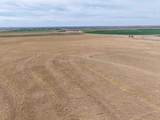  Big Sky Ranch Fm 48 - Photo 5