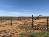  Tbd County Road 324 - Photo 13
