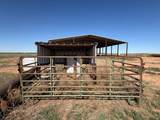  Tbd County Road 324 - Photo 5