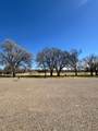 514 Park Avenue - Photo 25