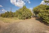 10507 Broadway Drive - Photo 13