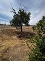 411 13th Avenue - Photo 15