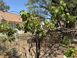 500 4th Street - Photo 34