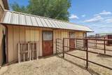 14653 Halsey Trail - Photo 42
