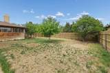 14653 Halsey Trail - Photo 55