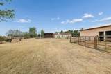 14653 Halsey Trail - Photo 56