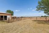 14653 Halsey Trail - Photo 57