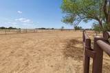 14653 Halsey Trail - Photo 58