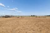 14653 Halsey Trail - Photo 59