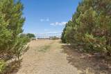 14653 Halsey Trail - Photo 61