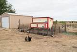 12177 Fm 2362 - Photo 76