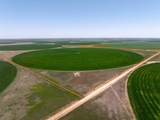  Busby Farm 516.34 Acres Cr 625 - Photo 10