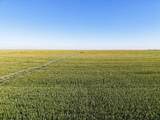  Busby Farm 516.34 Acres Cr 625 - Photo 13