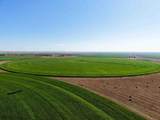  Busby Farm 516.34 Acres Cr 625 - Photo 14