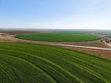  Busby Farm 516.34 Acres Cr 625 - Photo 16