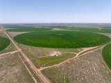  Busby Farm 516.34 Acres Cr 625 - Photo 3