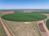  Busby Farm 516.34 Acres Cr 625 - Photo 4