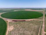  Busby Farm 516.34 Acres Cr 625 - Photo 5
