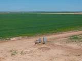  Busby Farm 516.34 Acres Cr 625 - Photo 7