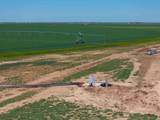  Busby Farm 516.34 Acres Cr 625 - Photo 8