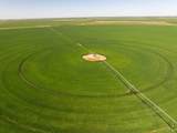  Busby Farm 516.34 Acres Cr 625 - Photo 9