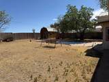 415 Mesquite Avenue - Photo 54