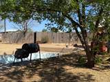 415 Mesquite Avenue - Photo 62