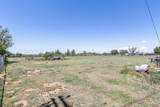 200 Sequoia Street - Photo 32