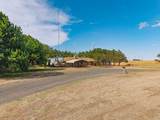 2311 Farm To Market Road 145 - Photo 60