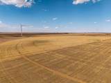 695 County Road 24 - Photo 2