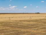 695 County Road 24 - Photo 3