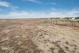 5401 Petersen Road - Photo 20