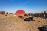  Baskin Ranch &plusmn;3,142.65Ac - Photo 69