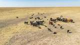  Baskin Ranch &plusmn;3,142.65Ac - Photo 8